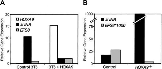 Figure 5. Putative HOXA9 gene target expression in other cell types. (A) JUNB and EPS8 expression levels are modulated by HOXA9 in NIH3T3 fibroblasts. HOXA9, JUNB, and EPS8 expression levels were measured in RNA from parental cells and stably transduced HOXA9 overexpressing cells by real-time PCR. (B) Confirmation of converse changes of EPS8 and JUNB in HOXA9-deficient murine marrow cells. Marrow cells were isolated from adult HOXA9–/– mice and wild-type (control) littermates and enriched for Lin– Sca+ primitive cells. HOXA9, JUNB, and EPS8 levels were assessed by real-time PCR. EPS8 levels are multiplied by 1000 for scaling purposes.