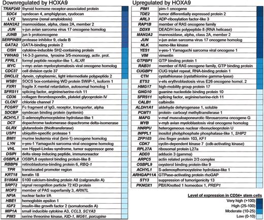 Figure 6. HOXA9 target genes that are expressed in CD34+ stem cells. All genes listed are significant as determined by SAM.
