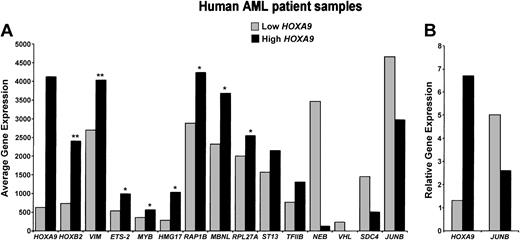 Figure 7. Expression levels of HOXA9 targets in primary samples of AML. (A) Gene expression profiles for 28 human primary AML patient samples were downloaded from the www.genome.wi.mit.edu/MPR website.16 HOXA9 expression levels were used to divide the samples into 2 groups. High HOXA9 samples had pixel intensities ranging from 2000 to 6000 (n = 17) and low HOXA9-expressing samples had pixel intensity values of 2000 or below (n = 11). A Student t test was performed to determine which gene expression differences were statistically significant. *P < .05; **P < .001. Fourteen genes whose expression was significantly different between the HOXA9-high and HOXA9-low groups of primary AML showed the same direction of change of expression as seen in the microarray studies. (B) JUNB mRNA levels in high and low HOXA9-expressing AML patient samples, as measured by quantitative real-time PCR. Samples were segregated into one of 2 groups, based on relative expression of HOXA9, and normalized to GAPDH. High HOXA9-expressing samples had HOXA9/GAPDH ratios of more than 0.05 (n = 4), and low HOXA9 samples had ratios less than 0.05 (n = 7). Values for JUNB represent the mean relative expression level for each HOXA9 expression group.