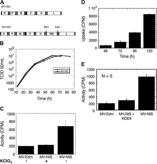 Figure 1. Engineering, rescue, and characterization of MV-NIS. (A) Schematic representation of the genomes of MV-Edm and MV-NIS. hNIS was cloned as an additional transcription unit downstream of the hemagglutinin gene, H, using Mlu1 and Aat II. (B) One-step growth curves for MV-Edm and MV-NIS. Cloning of hNIS does not interfere with virus replication. (C) Myeloma cells infected with MV-NIS at an MOI of 0.02 express NIS and concentrate radioiodine. The data were obtained 48 hours after infection. Iodide uptake is blocked by perchlorate, a specific inhibitor of NIS. Cells infected with MV-Edm do not concentrate iodide. (D) MV-NIS replicates in myeloma cells with increasing NIS expression leading to higher iodide uptake with time. (E) Infection of primary myeloma cells with MV-NIS (MOI, 2) leads to significant iodide uptake 72 hours after infection. The control cells were infected with MV-Edm. There were 5 different primary myeloma cell samples studied with similar results. Each experiment was performed in triplicate. Error bars indicate SD.