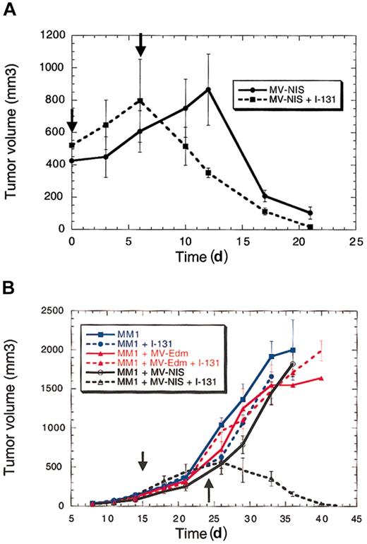 Figure 4. Therapeutic efficacy of MV-NIS with or without radioiodine for multiple myeloma. (A) Radiovirotherapy results in faster tumor eradication compared with the virus alone in the susceptible tumor cell line KAS-6/1. (B) Radiovirotherapy for MM1 cell line–derived tumors that are not eradicated by MV-Edm. 131I by itself or MV-Edm with or without 131I does not eradicate the tumors. MV-NIS by itself does not slow tumor growth but in combination with 131I results in tumor eradication in all mice. There were 5 mice treated per arm of the study (30 mice total). The vertical arrows represent the time of vector and isotope injection. Radiovirotherapy is associated with prolonged survival in the treated mice. Error bars indicate SD.