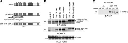 Figure 2. Generation of the stable cell lines expressing the lipid raft–anchored forms of Cbl-b. (A) Schematic diagram of the mutant forms of Cbl-b used in the current experiments. Both GEM-Cbl-b and GEM-Cbl-b (C373A) are chimeric molecules with the myristoylation and palmitoylation signals from c-Src (AA 1-16), in which Ser3 was substituted to Cys (GEM-tag). These cDNAs were subcloned into the pSVL expression vector. 4H indicates 4-helix; EF, EF-hand Ca++ binding domain; RING, RING finger; Pro rich, Pro-rich region; LZ, leucine zipper domain. (B) RBL-2H3 cells were stably cotransfected with pSVL-GEM-Cbl-b or pSVL-GEM-Cbl-b (C373A) together with pSV2-neo vector and selected with G418. Two or 3 positive cloned lines overexpressing each of the different kinds of chimeric proteins were selected for further analysis. Total cell lysates from the parental RBL-2H3 and selected cloned lines were analyzed by the immunoblotting with anti-Cbl-b, anti-HA, and anti-FcϵRIβ antibodies as an internal control. (C) GEM-Cbl-b mainly localizes in GEMs. Cell homogenates from control RBL-2H3 cells and cells overexpressing GEM-Cbl-b were fractionated by the sucrose density gradient centrifugation, and fractions 1 to 3, 4 to 6, and 7 to 10 were each collected and reacted with anti-Cbl-b antibody prebound to protein-G-Sepharose, respectively. The immunoprecipitates from collected fractions were analyzed by the immunoblotting with anti-HA mAb. Similar results were obtained when the other cloned lines were examined. The results were representative of 4 experiments.