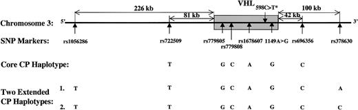 Figure 1. VHL haplotype system. The shaded area is the VHL gene (14 543 bp). The asterisk (*) indicates that this mutation is associated with Chuvash polycythemia.