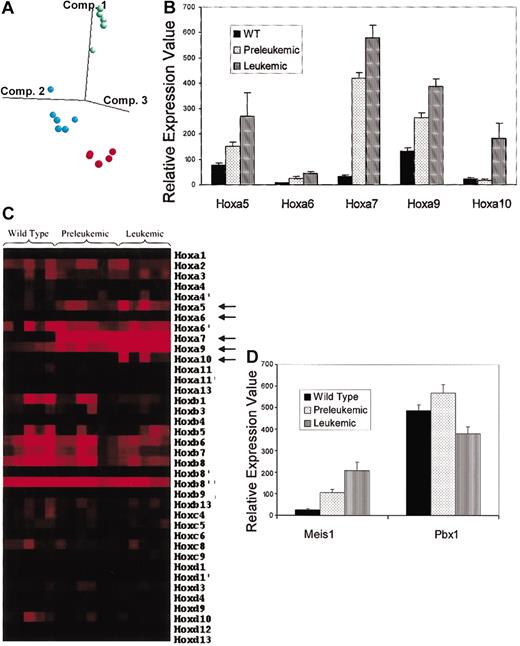 Figure 5. Microarray analysis of bone marrow cells from Mll and wild-type mice. (A) Principal components analysis using the genes identified in the ANOVA. Each of the colored dots represents a mouse sample: red indicates WT; blue, preleukemic; and green, leukemic. The first 3 eigenvectors are used to map the samples in 3-dimensional space. (B) Relative expression values of Hoxa5, Hoxa6, Hoxa7, Hoxa9, and Hoxa10 in wild-type (WT), preleukemic, and leukemic mice. Data represent means and standard errors. (C) Hot-map of Hox gene expression. Each column represents a mouse sample while each row represents a Hox gene transcript. Increasing expression levels are represented by progressively brighter shades of red while darker shades represent relatively lower expression. Arrows point to genes showing significant changes in expression between wild-type, preleukemic, and leukemic mice. (D) Relative expression values of the TALE protein genes Meis1 and Pbx1 in wild-type (WT), preleukemic, and leukemic mice. Data represent means and standard errors.