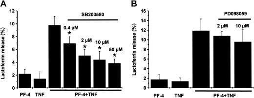 Figure 1. Effect of MAP kinase inhibitors on PF-4/TNF-induced lactoferrin release in human neutrophils. Neutrophils were preincubated for 15 minutes in the absence or presence of increasing concentrations of (A) SB203580 (p38 inhibitor), or (B) PD098059 (MEK inhibitor), followed by stimulation with a combination of PF-4 (4 μM) and TNF (9 ng/mL) for 30 minutes at 37°C. Cells that received stimulus alone and were left without inhibitor served as controls. Lactoferrin release was determined in cell supernatants by the use of a sandwich ELISA system. Assay backgrounds were determined in samples of unstimulated cells run in parallel were subtracted (A, 1.4% ± 1.1%; B, 1.8% ± 0.6%). Data represent mean ± SD of 5 (A) or 3 (B) independent experiments, each performed in duplicate. Asterisk (*) indicates significant differences (P < .006) between inhibitor-treated and untreated samples based on the data from 5 or 3 individual experiments.