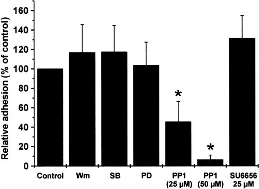 Figure 7. Effect of different kinase inhibitors on PF-4–induced neutrophil adhesion to endothelial cells. Neutrophils were pretreated for 20 minutes with wortmannin (Wm; 20 nM), SB203580 (10μM), PD098059 (10 μM), PP1 (25 and 50 μM), SU6656 (25 μM) or without inhibitor and subsequently incubated with 2 μM PF-4 in the presence of a monolayer of cultured endothelial cells. After 20 minutes nonadherent cells were removed from endothelial cells layers and residual neutrophils were determined. The amount of cells in samples receiving PF-4 in the absence of any inhibitor was set at 100% and data were calculated as the percentage of these controls. Data represent mean ± SD of 4 independent experiments, each performed in duplicate. Asterisk (*) indicates significant differences (P < .0005) between inhibitor-treated and untreated samples based on the data from 4 individual experiments.