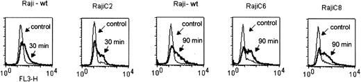 Figure 3. Induction of ROS generation in Raji cells and the respiration-deficient subclones RajiC2, RajiC6, and RajiC8. Cells in exponential growing phase were incubated with Hu1D10 (5 μg/mL) without the cross-linking antibody for the indicated time. Cellular superoxide radical content was determined by flow cytometry analysis using dihydroethidium dye. The results show that Hu1D10 was able to cause a significant increase of ROS in both the wild-type (wt) and respiration-deficient cells (C2, C6, and C8), suggesting that the drug-induced ROS generation was not from within the mitochondrial respiratory chain.