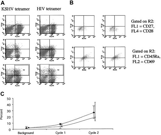 Figure 2. Expansion of tetramer-positive CD8+ T cells. (A) An increase in tetramer-positive CD8+ cells in an individual patient with AIDS-related KS. Tetramer analysis from a single patient demonstrates the increase in specific CTLs to HIV-1 and KSHV over the 2 cycles of targeted therapy in vitro. FL3 (x-axis) is CD8; FL2 (y-axis) corresponds to the tetramer. Top panels show background; middle panels, cycle 1; and bottom panels, cycle 2. (B) The tetramer-positive CD8+ T cells (R2 cycle 2) were further phenotyped and found to express CD45Ra and CD69 with absent CD27 and CD28. (C) The median percentage of tetramer-positive CD8+ cells at background, after one cycle and following 2 cycles of amplification (solid line indicates responses for HIV-1 Gag; dotted line, KSHV glycoprotein B; the median for all 8 patients is shown with the interquartile range).