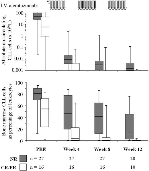 Figure 1. Treatment rapidly reduces circulating CLL cell levels in responding patients, while nonresponders show more gradual depletion. The figure shows the absolute peripheral blood CLL cell count on a logarithmic scale (top panel) and the percentage of CLL cells in the bone marrow (bottom panel) in nonresponding (▦, n = 27) and responding patients (□, n = 16). The schema for alemtuzumab therapy is indicated by the gray arrows at the top of the graph. PRE indicates pretreatment. The line at the top of each box denotes the 75th percentile; the line at the bottom of each box, the 25th percentile; the line in the middle of each box, the 50th percentile or median; the upper bar, the 95th percentile; and the lower bar, the 5th percentile.