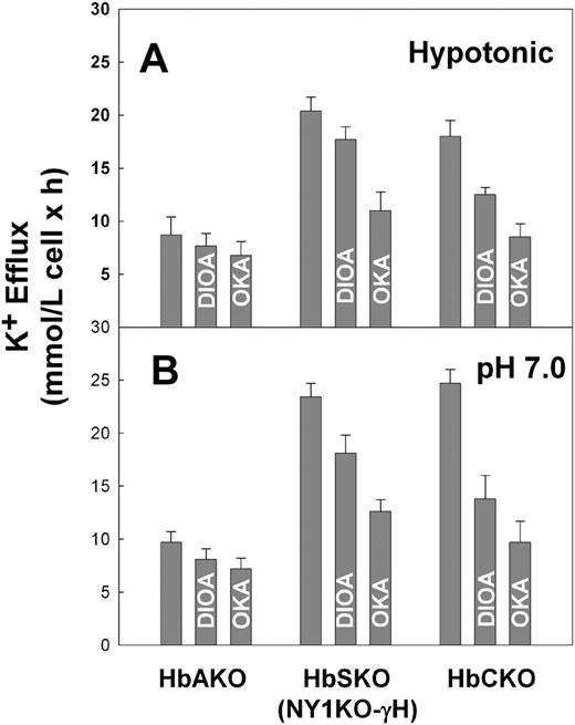 Figure 3. Comparison of the sensitivity of K+ efflux to DIOA and okadaic acid of red cells from transgenic mice expressing exclusively human hemoglobins. (A) Comparison under hypotonic conditions. We estimated K+ efflux into 250 mOsm hypotonic Cl- media in red cells from HbAKO, HbSKO+γ, and HbCKO mice as described in “Materials and methods” in the presence or absence of 10 μM DIOA or 100 nM okadaic acid (OKA). The figure shows the average ± SE of 3 different experiments performed on at least 4 different mice per mouse type. (For hypotonic Cl- HbSKO or hypotonic Cl- HbCKO versus DIOA or OKA, P < .04). (B) Comparison under isotonic Cl- at pH 7.0 conditions. We estimated K+ efflux into 330 mOsm isotonic pH 7.0 Cl- media in red cells from HbAKO, HbSKO+γ, and HbCKO mice as described in “Materials and methods” in the presence or absence of 10 μM DIOA or 100 nM okadaic acid (OKA). The figure shows the average ± SE of 2 different experiments performed on at least 2 different mice per mouse type. (For isotonic pH 7.0 HbSKO or isotonic pH 7.0 HbCKO versus DIOA or OKA, P < .03).