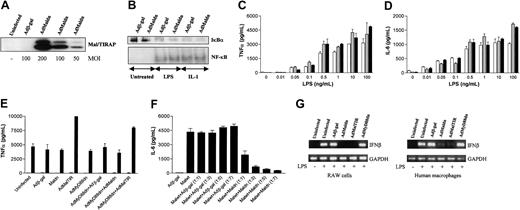 Figure 4. Mal/TIRAP is dispensable for IL-1– or LPS-induced NF-κB activation or cytokine production in human macrophages. Human macrophages (A-G) or RAW cells (G) were infected for 2 hours with adenoviruses expressing β-galactosidase, Malwt, Maldn, or MalTIR in serum-free medium. Cells were cultured in complete medium for another 2 days and treated with 20 ng/mL IL-1, 0.01 ng/mL to 100 ng/mL LPS, or 20 ng/mL TNFα. For Western blot and EMSA, 10 ng/mL LPS was used. (A) The expression of MyD88dn at different MOIs was examined by Western blot. (B) After 45 minutes of treatment, cytosolic and nuclear extracts were collected and assayed for IκBα expression by Western blot (upper panel) and NF-κB DNA binding by EMSA (lower panel). After 20 hours of treatment with LPS, supernatants from uninfected (white bars), Adβ-gal–infected (gray bars), or AdMaldn-infected (black bars) cells were collected and assayed by ELISA for TNFα (C) and IL-6 (D). (E) Combinations of AdMyD88dn with Adβ-gal, AdMaldn, or AdMalTIR were also used to infect human macrophages, and their effect on TNFα production after treatment for 20 hours with 10 ng/mL LPS was examined. (F) Combinations of AdMalwt with Adβ-gal or AdMaldn were also used to infect human macrophages and IL-6 production in the absence of further treatment was examined after 20 hours. A 1:1 ratio means that MOI of 100 for each virus was used, whereas 1:3, 1:5, and 1:7 ratios mean that MOIs of 300, 500, and 700, respectively, were used for the higher-ratio virus. Mean cytokine production (± SD) of triplicate cultures is shown and is representative of 5 independent experiments from unrelated donors. Finally, total mRNA levels from RAW cells or human macrophages were extracted, quantified, and equal amounts subjected to RT-PCR for IFNβ and glyceraldehyd-3-phosphate dehydrogenase (GAPDH) amplification (G). A representative of 3 independent experiments is shown.