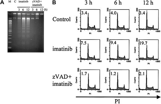 Figure 4. Internucleosomal DNA fragmentation and decrease in DNA content are not observed in zVAD + imatinib–induced atypical cell death. BV173 cells were treated with DMSO, imatinib, and zVAD + imatinib for 3, 6, and 12 hours, followed by internucleosomal DNA fragmentation assay and DNA content assay (“Materials and methods”). Internucleosomal DNA fragmentation (A) and decrease in DNA content (B) were observed and augmented in a time-dependent fashion in imatinib-treated cells, whereas neither was observed in zVAD + imatinib–treated cells. M indicates 100–base pair ladder molecular-weight standard; C, control. Values in B indicate the percentage of sub-G1 fraction. Results are representative of 3 individual experiments.