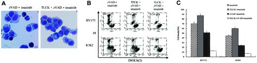 Figure 8. Trypsinlike serine protease is required for the execution of necrosis. (A) BV173 cells were treated with zVAD + imatinib and TLCK + zVAD + imatinib for 12 hours, followed by morphologic evaluation of cytospin specimens. Original magnification, × 1000. (B-C) BV173 cells and K562 cells were treated with the indicated agents for 72 hours, followed by incubation with DiOC6(3) and PI, and analysis by dual-parameter flow cytometry. The concentrations of TLCK and TPCK were as follows: 100 μM and 25 μM for BV173 cells, 200 μM and 50 μM for K562 cells. (B) Values indicate the percentage of the DiOC6(3)low and PI+ populations. (C) Cell death is the percentage of the PI+ populations. Data represent means ± SEM of 4 individual experiments. Striped bars indicate imatinib; gray bars, TLCK + imatinib; black bars, zVAD + imatinib; and white bars, TLCK + zVAD + imatinib.