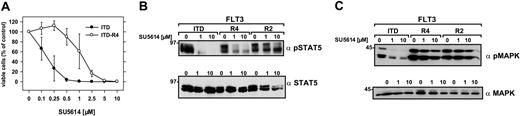 Figure 4. Resistance of FLT3-ITD-R4 cell line to SU5614 and activation of STAT5 and MAPK in FLT3-ITD-R1-4 cells in response to the inhibitor. (A) Ba/F3 FLT3-ITD-R4 cells were seeded at a density of 4 × 104 cells/mL in the absence or presence of different concentrations of SU5614 and viable cells were counted after 72 hours by trypan blue exclusion. Values represent means and standard errors from 3 independent experiments. (B-C) The phosphorylation status of STAT5 and MAPK in extracts of Ba/F3 FLT3-ITD and FLT3-ITD-R4/2 cells treated with 1 and 10 μM SU5614 for 4 hours was determined by Western blot analysis by using the polyclonal anti-pSTAT5 (B) and anti-pMAPK antibodies (C). Expression of STAT5 and MAPK in the same lysates was analyzed by immunoblotting with polyclonal anti-STAT5 and anti-MAPK antibodies.