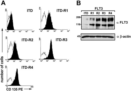 Figure 5. Expression of FLT3 in SU5614-resistant and parental FLT3-ITD cell lines. (A) The expression of FLT3 in Ba/F3 FLT3-ITD-R1-4 was analyzed by fluorescence activated cell sorting (FACS) analysis with the use of an anti-CD135 PE-labeled antibody compared with parental FLT3-ITD cells. Open histograms represent isotype control (PE-labeled control antibody); filled histograms show fluorescence intensity of CD135. (B) Lysates were prepared from these cells, and FLT3 expression was determined by immunoblotting with the use of a polyclonal anti-FLT3 antibody. Identical protein loading in all lanes was confirmed by immunoblotting with the use of an anti–β-actin antibody.