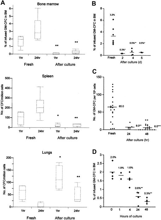 Figure 2. Homing of freshly isolated and cytokine stimulated CD34+ cells. (A) Cell suspensions from the BM, spleen, and lungs of transplanted NOD/SCID mice recovered 1 hour and 24 hours after transplantation were assayed for colony formation using human-specific cytokines. Numbers of CFCs in lungs and spleen were corrected for the cell expansion after cytokine culture. Medians interquartiles, and ranges of 4 to 7 animals pooled from 3 experiments. (B) Time course of changes in BM homing after cytokine activation. CD34+ cells exposed to cytokines for 2, 4, or 5 days were infused into sublethally irradiated animals, and homing to BM was assessed 24 hours after infusion. Homing of fresh cells is shown for comparison. Data are from 4 independent experiments; each data point represents 1 animal, and the mean values are indicated. (C) Homing of freshly isolated CD34+ cells or cultured cells after 24 and 48 hours of culture to the spleen at 24 hours after transplantation. (D) CD34+ cells were cultured for 1, 4, 24, or 48 hours, and homing of infused cells to BM was assessed at 24 hours after transplantation; n = 2 experiments, data given for each animal (*P < .05; **P < .01; ***P < .001 compared with fresh cells; Mann-Whitney U test).