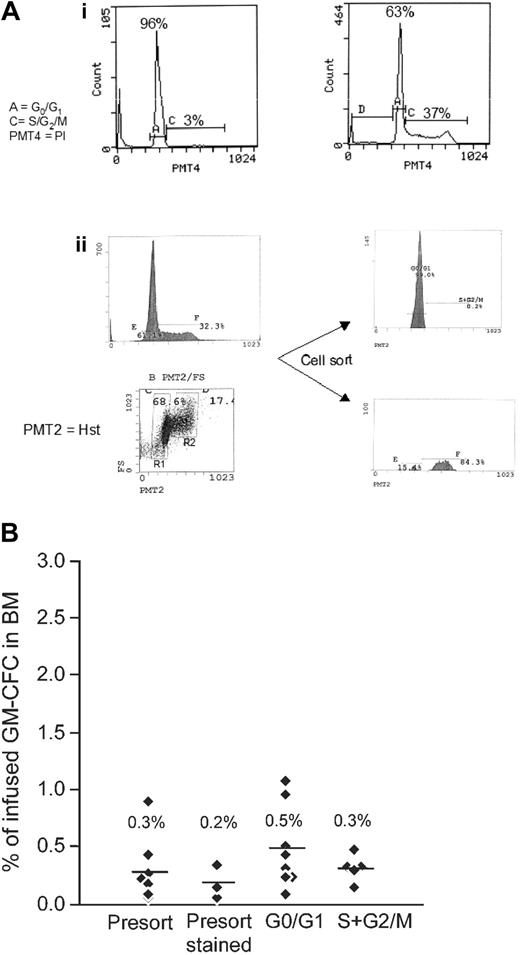Figure 3. Cell cycle fractionation of cytokine-stimulated CD34+ cells and the effect on homing. (A) Cell cycle analysis of MPB CD34+ cells by PI (i) and fractionation using Hst and Py Y staining (ii). Bars indicate gates for G0G1 (A) and S/G2 M (C) subpopulations, and percentage of cells in each gate is given. (Ai) DNA histograms of MPB CD34+ cells immediately after isolation (left) and 48 hours after culture (right) by PI staining. (Aii) Cultured CD34+ cells were simultaneously stained with Hst and Py Y. The flow histogram shows gates indicating G0/G1 (R1) and S/G2/M (R2) populations of MPB CD34+ cells (left). Sort windows to collect G0/G1 and S/G2/M cells are indicated as regions R1 and R2, respectively. The purity of sorted G0/G1 cells (top right) exceeded 98% and of S/G2/M cells (bottom right) exceeded 83%. Results from a representative experiment are shown. (B) Short-term BM homing of CD34+ cells in G0/G1 or S/G2/M. Sorted G0/G1 and S/G2/M fractions of cultured CD34+ cells were infused (0.5-2.0 × 106 cells/animal) into sublethally irradiated NOD/SCID animals, and BM homing of progenitor cells was assessed as for Figure 2. Cultured cells that were unstained (presort) or stained (presort stained) served as controls. Data are from 4 independent experiments. Each data point represents 1 animal, and numbers and bars indicate the means.