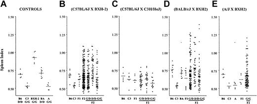 Figure 1. Replication of Mycobacterium bovis (BCG) and splenomegaly response in different crosses. Informative F1 and F2 crosses were derived from mouse strains BXH-2, C57BL/6J (B6, panel B), C3H/HeJ (C3, panel C), BALB/cJ (BA, panel D), and A/J (A, panel E), in the combinations indicated at the top of each graph. (BALB/cJ × BXH-2) F2 animals were genotyped with a total of 193 polymorphic dinucleotide repeat markers providing an average coverage of 10 cM along each chromosome. For individual F2 crosses, mice were further separated according to homozygosity or heterozygosity for either mutant (Nramp1D169, D) or wild-type (Nramp1G169, G) alleles at Nramp1. At the time they were killed, spleen weight was determined and used to calculate the spleen index, as described in “Materials and methods.” Dots represent individual mice, and means for each group are shown as lines on the graphs.