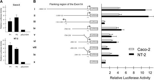 Figure 4. Functional analysis of human AC133 promoters. (A) Functional analysis of promoters P1 and P2 in Caco-2 and NT-2 cell lines. Bars show fold increase in activity of luciferase for the constructs cloned into pGL3-enhancer vector containing promoters P1 or P2, compared with promoterless pGL3-enhancer vector. All data represent the mean of at least 3 independent experiments. (B) Functional analysis of human AC133 promoter 1 (P1) activity using 5′/3′ deletion constructs in Caco-2 and NT-2 cell lines. Diagram on the left side shows different reporter constructs made from the 5′ flanking region of exon 1A, using primers listed in Table 1. Transcription start point is indicated by +1. Luciferase gene is fused to +10 position of P1 in constructs i, ii, iv, vi, and viii; –250 position of P1 in constructs v and vii. In construct iii, the most active fragment of P1 is placed in reverse orientation, luciferase fused to position –1100. Diagram on the right side shows fold increase in activity of the promoter constructs compared with promoterless pGL3-enhancer vector (construct I). All data represent the mean of 3 independent experiments. Error bars represent standard deviation.