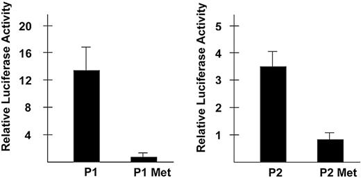 Figure 5. Effect of in vitro methylation on the activity of human AC133 promoters. AC133 promoter 1 (–1100/+10) and promoter 2 luciferase constructs were mock methylated or methylated with SssI methylase. Both methylated and mock-methylated constructs were transiently transfected into the Caco-2 cell line, and luciferase activity was measured and normalized to the activity of the methylated and mock-methylated pGL3-enhancer vector, respectively. All data represent the mean of 3 independent experiments. Error bars represent standard deviation.