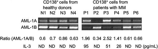 Figure 3. IL-3 expression levels by purified CD138+ plasma cells from MM patients and healthy donors. CD138+ plasma cells were purified from patients with MM and healthy donors. First, 2 × 106 cells were cultured in RPMI media containing 10% fetal calf serum for 96 hours. IL-3 expression levels in these culture media were measured by commercially available IL-3 ELISA kits. At the end of culture period, cells were harvested, and mRNA expression levels of AML-1A and AML-1B were determined by RT-PCR analysis. Three of 6 purified CD138+ plasma cells from MM patients who showed enhanced AML-1A mRNA expression secreted 26 to 95 pg/mL IL-3 into culture media. IL-3 was not detected (ND) in media conditioned by CD138+ cells from healthy donors and patients 2, 5, and 6 (P2, P5, and P6).