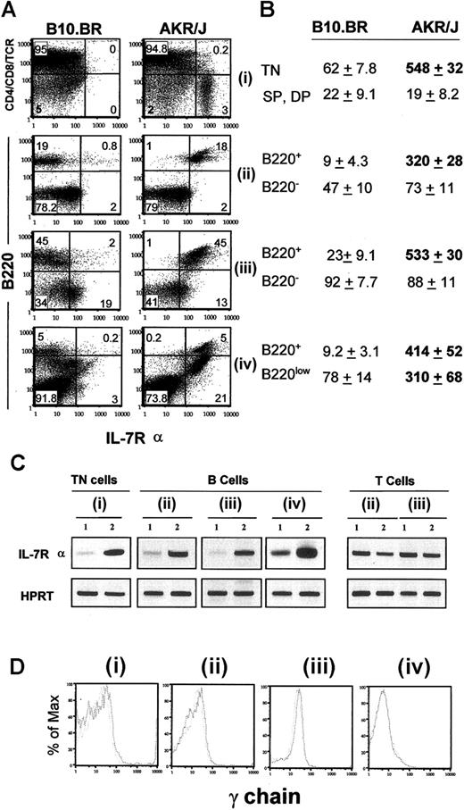 Figure 2. Profile of IL-7Rα expression in AKR/J mice. Expression of IL-7Rα was examined at level of surface protein by FACS staining (A,D) and at level of mRNA transcripts by RT-PCR analysis (C). Cells were isolated from thymus (i), lymph nodes (ii), spleen (iii), or BM (iv) of 2-month old AKR/J or control B10.BR mice. (A) FACS analysis was performed in total cells using biotin-conjugated anti–IL-7Rα antibody in combination of a cocktail of PE (anti-CD4, anti-CD8, anti-TCRαβ)–conjugated antibodies (i), or in combination with anti-B220–PE antibody (ii-iv). Numbers shown in FACS profiles denote percentages of cells in each quadrant. Table (B) represents values of the mean fluorescence intensity (MFI) of IL-7Rα expression ± SE in indicated cell population from 4 independent experiments with n = 5 mice for each experiment. All values in bold represent significantly increased MFI (P < .05) on AKR/J cells compared with control B10.BR cells. (C) RT-PCR analysis to investigate expression of IL-7Rα transcripts was performed by using sorted TN (CD4–CD8–TCRαβ–) thymocytes (i), B (B220+) lymphocytes (ii-iv), or T (TCRαβ+) lymphocytes (iii-iv) isolated from 2-month-old B10.BR (lane 1) and AKR/J (lane 2) mice. (D) Histograms represent intensity of γc expression on gated TN thymocytes (i) or B lymphocytes from lymph nodes (ii), spleen (iii), or BM (iii) isolated from 2-month-old B10.BR (dashed line) or AKR/J (solid line) mice. Results (C-D) are representative of 3 independent experiments.