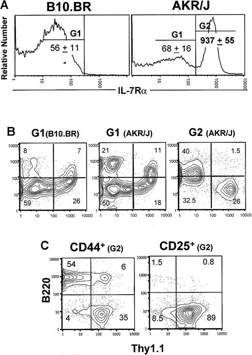Figure 3. Overexpression of IL-7Rα in early T-cell compartment of AKR/J mice. Total thymocytes were isolated from 2-month-old AKR/J or B10.BR mice and depleted from CD4+, CD8+, and TCRαβ+ thymocytes by specific antibodies followed by rabbit complement. (A) Remaining TN cells were stained with anti–IL-7Rα–biotin, anti-CD25–APC, and anti-CD44–FITC antibodies. Gates G1 and G2 define cells expressing normal levels of IL-7Rα, and gate G3 defines cells expressing higher levels of IL-7Rα. Numbers denote the mean of IL-7Rα fluorescence intensity ± SE in each gated cell population. Dot plots (B) show the distribution of CD44 versus CD25 among gated G1 cells. Dot plots (C) show the expression of Thy1.1 versus B220 within CD44-expressing or CD25-expressing IL-7Rαhigh cells. Results are representative of 3 independent experiments with n = 3 mice for each experiment.