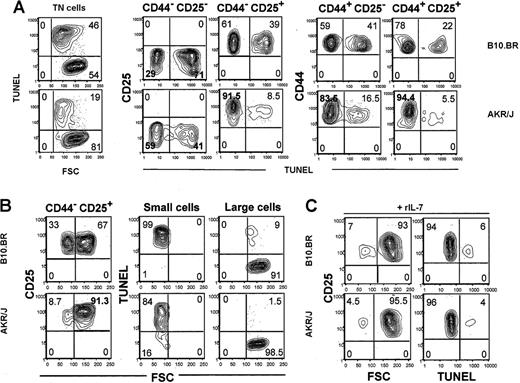 Figure 4. Decreased in vitro apoptosis of AKR/J TN thymocytes. Total thymocytes were isolated from 2-month-old AKR/J or control B10.BR mice and cultured for 12 hours in medium supplemented with 5% serum. Cells were stained with a cocktail of Cy–(anti-CD4, anti-CD8, anti-TCRαβ) antibodies together with anti-CD25–APC and anti-CD44–FITC. Subsequently, apoptotic cells were detected by FACS-TUNEL staining revealed by addition of PE-conjugated streptavidin. FACS profiles (A) represent frequency of apoptotic cells, as determined by TUNEL positive staining, among gated TN (CD4–CD8–TCRαβ–) thymocytes and among each cell subset within TN thymocytes: CD44–CD25–, CD44–-CD25+, CD44+CD25–, and CD44+CD25+. FACS profiles (B) represent cell size analysis, as determined by FSC channel, among CD44–CD25+ TN thymocytes. This cell subset is divided into small- and large-size cells, and frequency of apoptotic cells among each population is determined by TUNEL staining versus FSC. Results (A-B) are representative of 3 independent experiments with n = 5 mice for each experiments. FACS profiles (C) represent analysis of in vitro apoptosis after addition of 5 ng/mL recombinant mouse IL-7. Analysis of FSC scatter and TUNEL staining are shown among CD44–CD25+ TN thymocytes. Results (C) are representative of 3 independent experiments with n = 3 mice for each experiments. Numbers shown in FACS profiles denote percentages of cells in each quadrant.