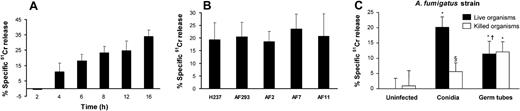 Figure 4. Endothelial cell injury induced by A fumigatus. (A) Time course of injury. Endothelial cells were incubated with conidia of A fumigatus H237 for the indicated times, and the extent of endothelial cell injury was determined by the specific release of 51Cr as described in “Materials and methods.” (B) Extent of injury caused by different clinical isolates. Endothelial cells were infected with conidia of the indicated clinical isolates of A fumigatus for 8 hours, after which endothelial cell injury was measured. (C) Comparison of endothelial cell injury caused by live and thimerosal-killed conidia and hyphae of A fumigatus H237 after 8 hours. Results are means ± standard deviation of at least 3 independent experiments. Error bars indicate standard deviation. *P < .001 versus uninfected control wells; §P < .05 versus live organisms; †P < .001 versus conidia.