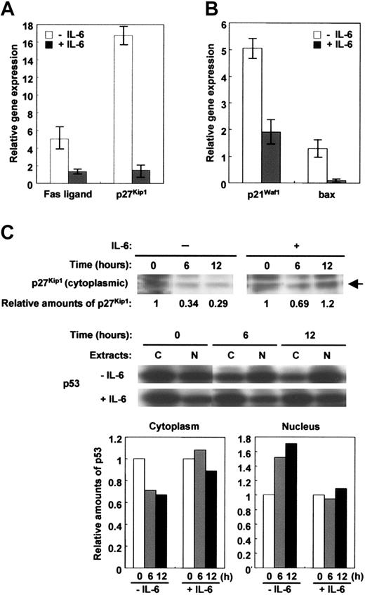Figure 4. IL-6 induced the cytoplasmic accumulation of p27Kip1 and p53 proteins and blocked the expression of Fas ligand, p27Kip1, p21Cip1/Waf1, and bax genes in NOP2. In serum-free media, NOP2 cultured with or without IL-6 (2 ng/mL) for 24 hours (A) or for 12 hours (B) was harvested and cellular RNA was isolated. Subsequent real-time PCR analysis using cDNA synthesized from total RNA evaluated quantitatively the expression of Fas ligand, p27Kip1 (A), p21Cip1/Waf1, and bax (B) genes. The expression of Fas ligand, p27Kip1, p21Cip1/Waf1, and bax genes was blocked by IL-6 treatment in NOP2. Values of relative gene expressions are indicated by the ratio to glyceraldehyde-3-phosphate dehydrogenase (G3PDH) when the value of time 0 was 1. The values are indicated by the means and SDs obtained from 2 independent experiments. Differences of relative gene expression between cells cultured without and with IL-6 were all statistically significant (P < .01). (C) Western blot showed that both p27Kip1 and p53 proteins remained in the cytoplasm of NOP2 treated with IL-6. Cytoplasmic (indicated as C) and nuclear (indicated as N) extracts were probed with an anti-p53 antibody in Western blot analysis. Values of the relative amounts of proteins were determined as densities of bands by Scion image software (Scion, Frederick, MA) and shown as a ratio to time 0.