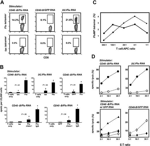 Figure 3. DCs and CD40-B loaded with FluMP mRNA induce functional specific T cells in adult cancer patients. (A) CD40-B and DCs from the same prostate cancer patient as in Figure 1A were electroporated with FluMP or GFP mRNA and were cocultured with autologous PBLs for 7 days. T-cell cultures were analyzed with tetramers as in Figure 2. (B) Day 7 T-cell cultures stimulated with FluMP mRNA-loaded CD40-B or DCs were assayed by IFN-γ ELISPOT using either T2 cells (left and middle upper panels) pulsed with tax peptide or FluMP peptide (shown compared with T cells only) or mRNA-electroporated DCs (right upper panel) using GFP mRNA or FluMP mRNA (shown compared with T cells only). For T cells stimulated with FluMP mRNA–loaded CD40-B, the effect of mouse antihuman class I mAb was compared with mouse purified IgG (each at 25 μg/mL) or T cells only (lower panels). Targets were either T2 cells (left lower panel) pulsed with tax peptide or FluMP peptide or mRNA-electroporated DCs (right lower panel) using GFP mRNA or FluMP mRNA. Bars represent 1 standard deviation. P values shown are for comparisons between starred experiments. (C) CD40-B and DCs from a second prostate cancer patient were electroporated with FluMP or GFP mRNA, cocultured with autologous PBLs for 7 days, and analyzed with tetramers as in Figure 2. A range of T-cell/APC ratios for DCs (solid line) and CD40-B (dotted line) was examined. Tetramer results for cultures stimulated with FluMP APCs are shown. The negative control tax tetramer labeled less than 0.05% in each case (not shown). Labeling of GFP mRNA stimulated cultures with the FluMP tetramer was less than 0.1% in each case (not shown). (D) T-cell cultures were stimulated once with CD40-B loaded with FluMP mRNA (left panels), once with DCs loaded with FluMP mRNA (upper right panel), or once (lower left) or 3 times (lower right) with CD40-B loaded with GFP mRNA and were assayed for lysis of peptide-loaded T2 cells (• FluMP peptide; ○ tax peptide) or mRNA-loaded SW-480 carcinoma cells (lower left panel: ▴ or , FluMP mRNA–loaded targets; ▵ or ⋄, GFP mRNA–loaded targets; ▴ or ▵, FluMP mRNA–stimulated T cells; or ⋄, GFP mRNA–stimulated T cells). Results are representative of 1 to 3 experiments from 2 prostate cancer patients.