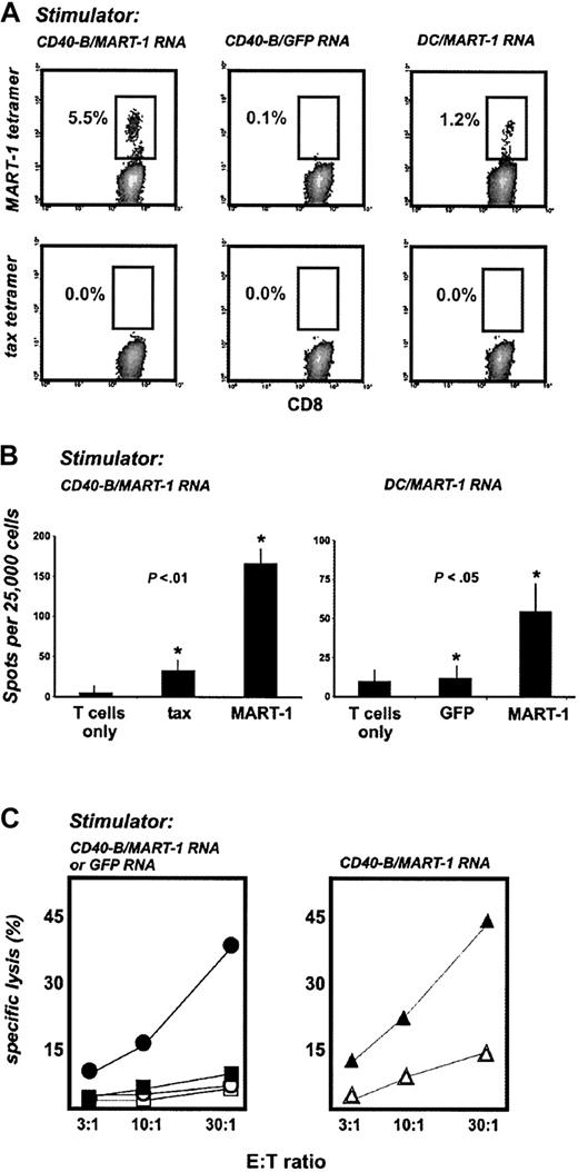Figure 4. MART-1 mRNA–loaded CD40-B and DCs generate functional antitumor T cells. (A) CD40-B and DCs from healthy donors were electroporated with MART-1 mRNA or GFP mRNA and used to stimulate autologous PBLs weekly for 3 weeks. T-cell cultures were then analyzed with tetramers as in Figure 2, but using HLA-A2/MART-1 tetramer. (B) T-cell cultures stimulated with MART-1 mRNA–loaded CD40-B were assayed by IFN-γ ELISPOT using either T2 cells (left panel) pulsed with tax peptide or MART-1 peptide (shown compared to T cells only) or mRNA electroporated autologous DC (right panel) using GFP mRNA or MART-1 mRNA (shown compared with T cells only). Bars represent one standard deviation. P values shown are for comparisons between starred experiments. (C) T-cell cultures stimulated with CD40-B loaded with MART-1 mRNA or GFP mRNA were assayed for lysis of tumor cells. Left panel: closed symbols indicate MART-1+ Malme-3M cells; open symbols, MART-1+ SK-MEL-113 cells, shown for MART-1 T cells (circles) and GFP T cells (squares). Malme-3M tumor targets matched donors only at HLA-A2; SK-MEL-113 cells and donors were HLA mismatched. Right panel: ▴ MART-1– SW-480 carcinoma cells electroporated with MART-1 mRNA. ▵ SW-480 cells electroporated with GFP mRNA, shown for MART-1 T cells. Similar results were obtained with 2 donors, except for experiments in panel B, which were performed for 1 donor.