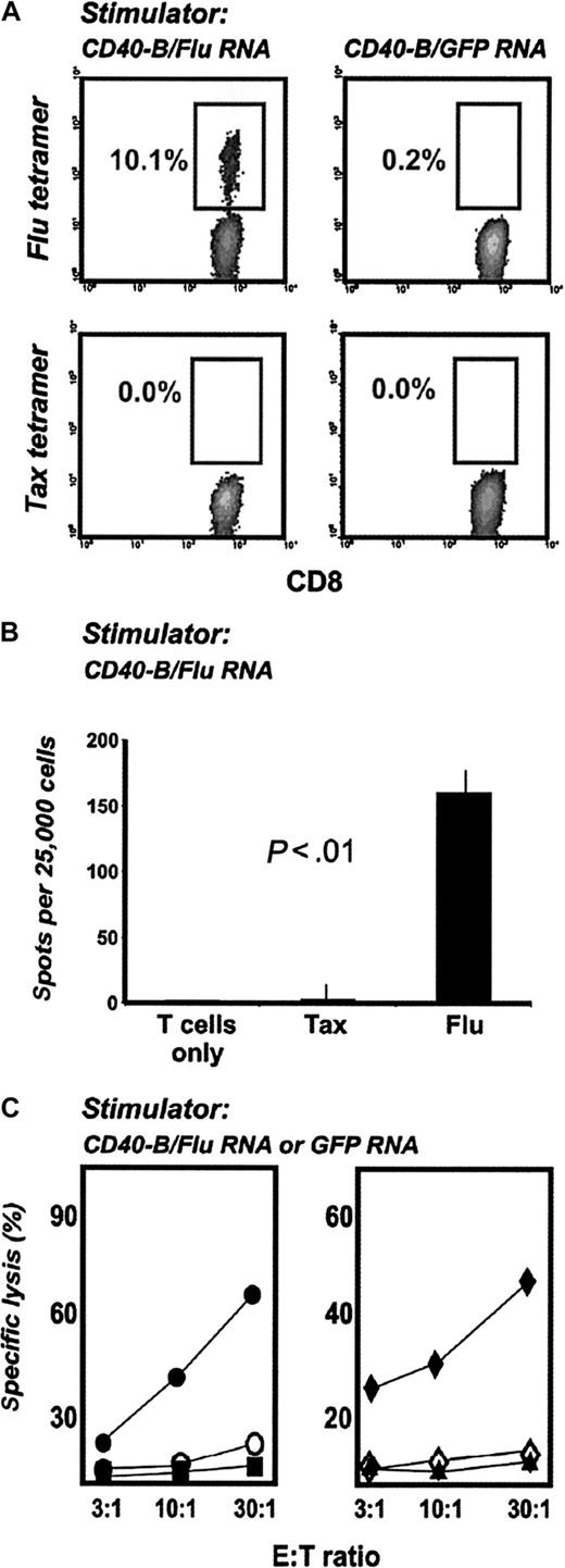 Figure 5. CD40-B loaded with FluMP mRNA induce functional specific T cells in pediatric oncology patients. (A) CD40-B from neuroblastoma patients were electroporated with FluMP mRNA or GFP mRNA and cocultured with autologous PBMC for 7 days. T-cell cultures were analyzed with tetramers as in Figure 2. (B) Day 7 T-cell cultures stimulated with FluMP mRNA-loaded CD40-B were assayed by IFN-γ ELISPOT using T2 cells pulsed with tax peptide or FluMP peptide (shown compared with T cells only). (C) T-cell cultures stimulated with FluMP mRNA or GFP mRNA were assayed for lysis of peptide-loaded T2 cells (left panel: • or ○, T2 cells loaded with FluMP peptide; ▪ or □, T2 cells loaded with tax peptide; • or ▪, FluMP mRNA–stimulated T cells; ○ or □, GFP mRNA–stimulated cells) or for lysis of SW-480 tumor cells (right panel: or ▴, SW-480 cells loaded with FluMP mRNA; ⋄, SW-480 loaded with GFP mRNA; or ⋄, FluMP mRNA–stimulated T cells; ▴, GFP mRNA–stimulated T cells). Similar results were obtained with 2 patients.