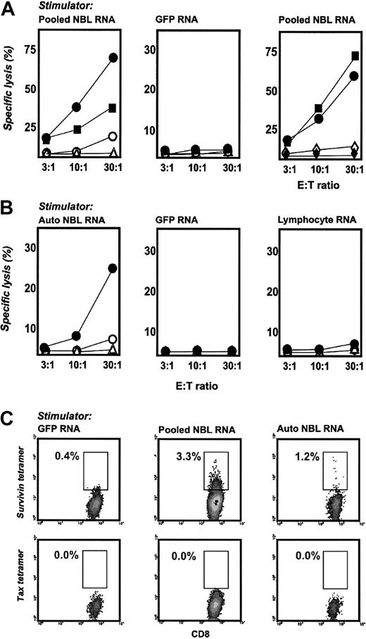 Figure 6. CD40-B induce anti-neuroblastoma T cells from pediatric oncology patients. (A) PBMCs from patients with neuroblastoma were stimulated twice with CD40-B electroporated with pooled tumor RNA from 3 neuroblastoma cell lines (left and right panels) or GFP RNA(middle panel) and were assayed in chromium release assays against neuroblastoma cell lines (• SK-NRA, HLA-A2+; ▪ CHLA-90, HLA-A2+; ○ SK-NAS, HLA-A2–; ▵ SH-SY5Y, HLA-class I–); ⋄ autologous PHA blasts; autologous CD34+ stem cells. PBMCs were obtained after induction chemotherapy (left and middle panels) or 90 days after stem cell transplantation (right panel). Similar results were obtained with 2 donors, except for experiments using PHA blasts or stem cells, which were performed once. (B) Autologous PBMCs from a patient with neuroblastoma were stimulated twice with CD40-B electroporated with autologous tumor RNA (left panel), GFP RNA (middle panel), or autologous lymphocyte RNA (right panel) and were assayed in chromium release assays against neuroblastoma cell lines. Symbols are the same as in panel A. (C) Cultures stimulated with GFP RNA (left column), pooled neuroblastoma cell line RNA (middle column), or autologous tumor RNA (right column) were labeled with anti-CD8, anti-CD14, anti-CD4, and HLA-A2/survivin or HLA-A2/tax tetramers and were analyzed as in Figure 2.
