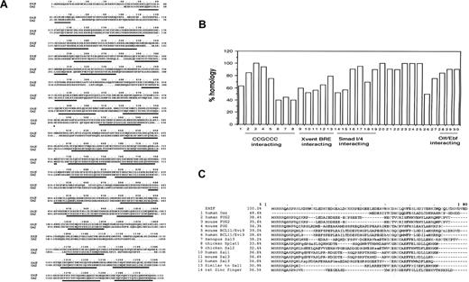 Figure 1. Sequence homology between EHZF and human OAZ. (A) Comparison of the amino acid sequences of EHZF and OAZ. The alignment was performed with the ClusteralW/fasta program (European Bioformatics Institute, Cambridgeshire, UK). Zinc fingers are underlined. The overall homology of the amino acid sequences was 63.5%. (B) Homology of the 30 zinc fingers of EHZF with those of OAZ. The zinc fingers are numbered 1-30 as described,8 and the percentage of amino acids identical between EHZF and the OAZ sequence is calculated for each zinc finger. The regions of OAZ reported to be responsible for interactions with the CCGCCC motif, Xvent BRE activation, Smad 1/4, or Olf/EBF interaction are indicated as described.8 (C) The first 80 amino acids of EHZF, which contain the N-terminal domain not present in OAZ, were analyzed using the Blastp alignment Mview program.16 The amino acids highlighted in gray are those shared by multiple proteins.