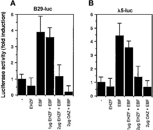Figure 7. Modulation of the transcriptional activity of EBF by EHZF. 293 cells were transfected with a β-galactosidase expression plasmid as an internal control, the luciferase reporter plasmids human pB29-Luc (A) and pλ5-Luc (B), and either void vector (p3xFlagCMV7.1) or p3xFlagCMV7.1-EHZF (2 μg), pCDNA3.EBF-6xmyc(2 μg), pCDNA3.EBF-6xmyc (2 μg) + p3xFlagCMV7.1-EHZF (1 μg), pCDNA3.EBF-6xmyc (2 μg) + p3xFlagCMV7.1-EHZF (2 μg) or pCDNA3.EBF-6xmyc (2 μg) + pFlagCS2-OAZ(KIAA0760-L) (2 μg). Extracts were prepared 48 hours later, assayed for β-galactosidase, normalized, and assayed for luciferase activity. The results shown are the average of triplicates from 3 independent experiments. Error bars indicate standard deviations.