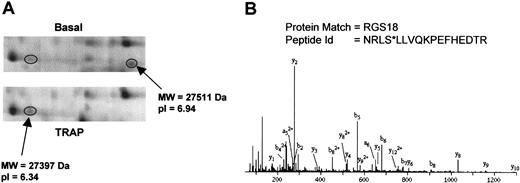 Figure 4. RGS18 phosphorylation induced by TRAP. (A) 2-DE gel images showing the RGS18 features. (B) MS/MS spectrum of the ion at m/z 541.24 (4+), corresponding to NRLS*LLVQKPEFHEDTR (* indicates phosphorylated). All the b and a ions presented in the spectrum (except b2) appear after the loss of 98 Da from the phosphate group during fragmentation.
