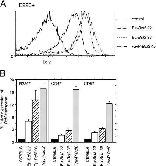 Figure 4. Expression of Eμ- and VavP-Bcl2 transgenes in lymphoid cells. (A) Flow cytometric analysis of transgenic Bcl2 detected by immunofluorescence staining with Bcl2-100 antibody in B220+ spleen cells. Cells from C57BL/6 mice served as the negative control. (B) Transgenic Bcl2 in B220+ B cells and Thy-1+ CD4+ and CD8+ T cells from the spleen. C57BL/6 (n = 10), Eμ-Bcl2 22 (n = 5), and Eμ-Bcl2 36 (n = 5) mice were compared with pooled data from 3 strains of VavP-Bcl2 mice (total n = 16). Fluorescence intensity values were normalized for nonspecific staining using nontransgenic C57BL/6 controls.