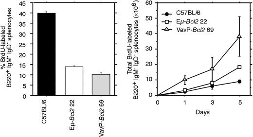 Figure 6. Proliferation of immunoglobulin class–switched B cells. Flow cytometric analysis of BrdU-labeled B220+ IgM- IgD- spleen cells from mice fed with BrdU in their drinking water continuously for 1, 3, or 5 days. Three mice of each indicated genotype were analyzed at each time point. The left panel shows the proportion of B220+ IgM- IgD- cells labeled with BrdU after 3 days. The right panel shows the total number of BrdU-labeled B220+ IgM- IgD- cells per spleen after 1, 3, and 5 days.