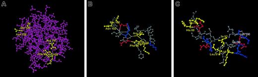 Figure 7. Location of the binding site. (A) The 5 residues involved in fibrinogen binding to FGF-2 are shown in yellow. (B) Structure of FGF-2 in the fibrinogen binding region. Portions of the crystal structure of FGF-2 are shown with the 5 residues in FGF-2 related to fibrinogen binding indicated in yellow. Positively charged residues are shown in blue and negatively charged residues in red. Approximate distances are: Ser100 to Agn102, 0.54 nM; Ser100 to Arg109, 2.06 nM. (C) Comparison of structure of FGF-1 with that of FGF-2 in the fibrinogen binding region. The residues in FGF-1 corresponding to the 5 residues in FGF-2 involved in fibrinogen binding are shown in yellow. Other positively charged residues are shown in blue and negatively charged residues in red. The location of 2 additional residues in FGF-1 with no corresponding counterparts in FGF-2 (Glu99 and Lys100) are also indicated. Based on published crystal structures.26-30