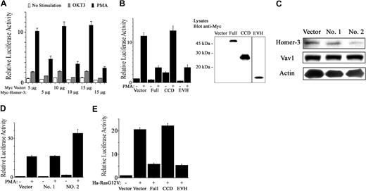 Figure 5. Homer-3 regulates SRE activation in Jurkat cells. (A) Jurkat cells were electroporated with SRE luciferase reporter (1 μg), GFP construct (0.2 μg), and Myc construct either empty or expressing full-length Homer-3 (5, 10, or 15 μg). Twenty hours later the cells were stimulated with OKT3 (5 μg/mL) or PMA (50 ng/mL) for an additional 4 hours. Luciferase activity was determined as described in “Materials and methods.” Overexpression of Homer-3 reduced SRE activation induced by OKT3 and especially by PMA. Three independent experiments were performed with duplicate samples. Histograms represent the mean ± SE (A-B, D-E). (B) Jurkat cells were electroporated with SRE luciferase reporter (1 μg), GFP construct (0.2 μg), and Myc construct either empty or expressing each fragment of Homer-3 (15 μg). Twenty hours later the cells were stimulated with PMA (50 ng/mL) for an additional 4 hours. Luciferase activity was determined as described in “Materials and methods.” The expression of each fragment was confirmed with Western blotting. Overexpression of the EVH1 fragment reduced SRE activation induced by PMA, although the expression level of EVH1 fragment was much less than that of the other fragments. (C) Jurkat cells were electroporated with constructs expressing SiRNA directed against Homer-3 (no. 1, nucleotides 218-236 of coding sequence; no. 2, nucleotides 138-156; 10 μg). After 72 hours' incubation, the cells were lysed and blotted for endogenous Homer-3 expression. Only SiRNA construct of Homer-3 no. 2 suppressed Homer-3 expression, whereas expression level of Vav1 and actin was not affected. (D) To assess SRE activation under knockdown of Homer-3, Jurkat cells were electroporated with SRE luciferase reporter (2 μg), GFP construct (0.2 μg), and SiRNA constructs (10 μg). After 68 hours' incubation, the cells were stimulated with PMA (50 ng/mL) for an additional 4 hours. Luciferase activity was determined as described in “Materials and methods.” SRE activation was elevated only after electroporation of SiRNA construct of Homer-3 no. 2. (E) Jurkat cells were electroporated with SRE luciferase reporter (1 μg), GFP-Ha-RasG12V, or empty construct (2.5 μg) and Myc construct either empty or expressing each fragment of Homer-3 (15 μg). Twenty-four hours later, luciferase activity was determined as described in “Materials and methods.” Overexpression of full-length or EVH1 domain fragments of Homer-3 reduced SRE activation induced by Ha-RasG12V. Immunoblotting confirmed expression of GFP-Ha-RasG14V and each fragment of Homer-3 (data not shown).