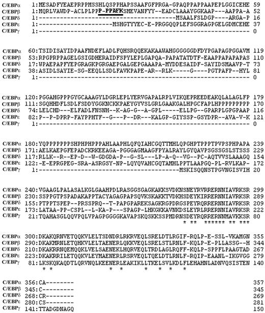 Figure 6. Alignment of human C/EBP family. C/EBPβ has a consensus motif binding to Homer family EVH1 domain (PPXXFr, bold and underlined; r is lysine in human, and arginine in mouse and rat C/EBPβ). * indicates amino acid residue preserved among isoforms.
