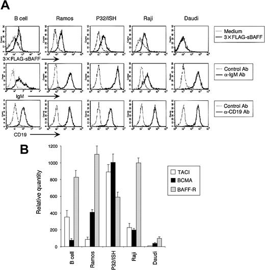 Figure 4. BAFF receptor expression in human B cells. (A) Cells were stained with 3 × FLAG-sBAFF supernatant followed by anti-FLAG M2 mAb with FITC-labeled antimouse IgG1 Ab, or anti-IgM Ab followed by FITC-labeled antigoat Ab, or directly PE-labeled anti-CD19 mAb. Expression was analyzed by FACS. (B) The expression of BAFF receptors was evaluated by real-time quantitative RT-PCR for TACI, BCMA, and BAFF-R, as described in Figure 3B. The amount of transcription was normalized to the level of β-actin and designated as a relative quantity. Data shown are representative of 3 different experiments.