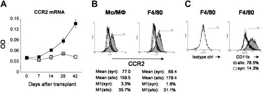 Figure 3. Recruitment of CCR2+ cells to the lung after allogeneic BMT. Animals received BM transplants as in Figure 1. CCR2 mRNA was determined after BMT by RNase protection assay. (A) CCR2 mRNA expression in the lungs of allogeneic recipients (▪) was elevated by week 2 and continued to rise over time through week 6 compared with syngeneic controls (□). Data are presented as mean ± SEM and are from 3 to 6 animals per group. (B) CCR2 protein expression is increased on monocytes and macrophages recruited to the alveolar space after allogeneic BMT. (C) F4/80+ macrophages in the BALF show a phenotype previously described for newly recruited monocytes to the alveolar space (F4/80+/CD11b+).44,45 Thin line indicates isotype control; open histogram, syngeneic; and shaded histogram, allogeneic.