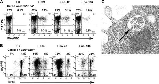 Figure 3. Presence of cytotoxic granules in CD4+ T lymphocytes from LTNP-100149. (A) Flow cytometry histograms, gated on CD3+CD4+ lymphocytes, show production of IFN-γ by TIA-1+ CD4+ T cells in response to p24, peptide no. 42, and peptide no. 106 in ICC. (B) Flow cytometry histograms, gated on CD3+CD4+ lymphocytes, show proliferation of CFSE-labeled TIA-1+ CD4+ T cells in response to p24, peptide no. 42, and peptide no. 106. Results are representative of at least 3 experiments over 9 months. (C) TEM showing morphology of granules within some vesicles in purified CD4+ T cells from LTNP-100149. Magnification × 74 000.