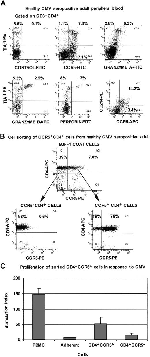 Figure 6. Immunophenotyping of peripheral blood CD4+ T lymphocytes from CMV-seropositive healthy adults. (A) Flow cytometry histograms are all gated on CD3+CD4+ lymphocytes and are representative of results obtained for at least 4 different individuals. (B) Flow cytometry histograms, gated on lymphocytes, showing cell sorting of CCR5+ and CCR5- subpopulations of CD4+ cells from buffy coats. (C) Proliferation of PBMCs and purified CCR5+ and CCR5- CD4+ T lymphocytes from CMV-seropositive healthy adults, in response to CMV lysate. Error bars show SD for duplicates, and cpm in unstimulated cultures ranged from 600 to 1200. Results are representative of 3 independent experiments.