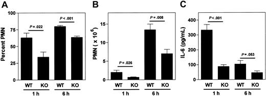 Figure 6. α2β1 integrin is required during the mast cell–dependent inflammatory response to zymosan. (A-C) Wild-type (WT) and α2 integrin–deficient (KO) mice were injected with zymosan intraperitoneally. At the indicated times after injection, the percent PMN, the absolute PMN number, and the IL-6 concentration in peritoneal fluid were determined. Shown is the combination of 2 experiments (mean ± SEM), with each group containing 5 or 6 mice.