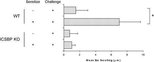 Figure 4. Defective CHS response in ICSBP-/- mice. Mice were sensitized to FITC on the abdomens and challenged on one ear 6 days later. Ear thickness was measured using an engineers' micrometer 24 hours after challenge on both ears. Ear swelling was calculated by subtracting the thickness of the unchallenged ear from that of the FITC-challenged ear in each individual animal. Control swelling was obtained from mice subjected to challenge but not sensitized. Results are expressed as the mean of at least 5 mice per group ± SE (*P < .01).