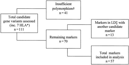 Figure 1. Process for inclusion of candidate gene variants in statistical analyses. *From previously published data.15 †Insufficient polymorphism was defined as an allele frequency less than 10%. ‡LD denotes linkage disequilibrium.