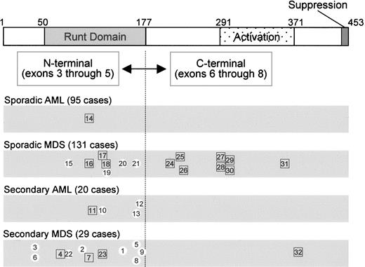 Figure 1. AML1 point mutations identified in AML and MDS. Horizontal bars show the AML1 protein diagrammatically (453 aa), indicating the Runt domain (50-177), the trans-activation domain (291-371), and the suppression domain (446-453). AML1 is divided into N-terminal and C-terminal regions. Case numbers (Table 1) with AML1 mutations are indicated according to disease categories (sporadic AML, sporadic MDS, secondary AML, and secondary MDS). Numbers in white circles indicate missense/silent mutations, and numbers in squares indicate frame-shift/nonsense mutations.